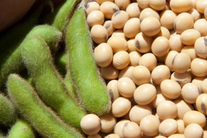 NHỮNG CÔNG ĐỤNG CỦA SỮA ĐẬU NÀNH ĐỐI VỚI CƠ THỂ