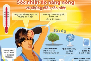 SỐC NHIỆT - DẤU HIỆU VÀ CÁCH XỬ TRÍ 