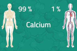 HỆ LỤY CỦA VIỆC THIẾU HỤT CANXI