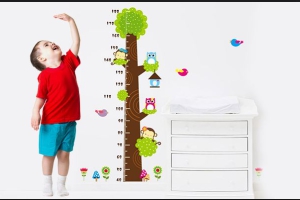 NHỮNG YẾU TỐ ẢNH HƯỞNG ĐẾN CHIỀU CAO CỦA TRẺ NHỎ