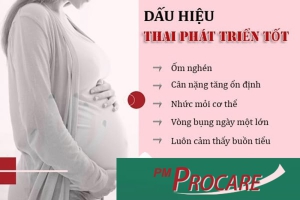 8 DẤU HIỆU THAI PHÁT TRIỂN TỐT TRONG 3 THÁNG ĐẦU MẸ BẦU CẦN BIẾT