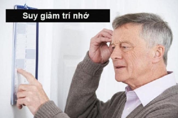 SUY GIẢM TRÍ NHỚ DO ĐÂU???